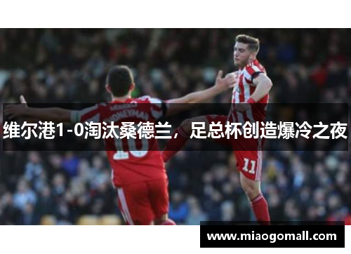 维尔港1-0淘汰桑德兰，足总杯创造爆冷之夜